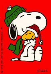 151054_494255270619032_1769565467_n