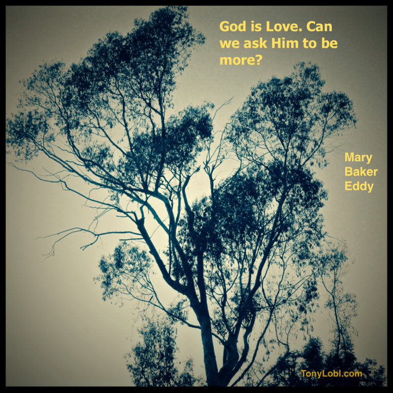 "The tree of Life" by Tony Lobl