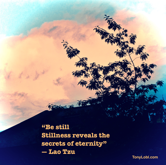 22stillness22-by-tony-lobl1