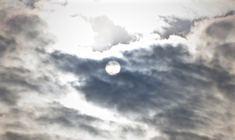 "The sun shines through" by Tony Lobl