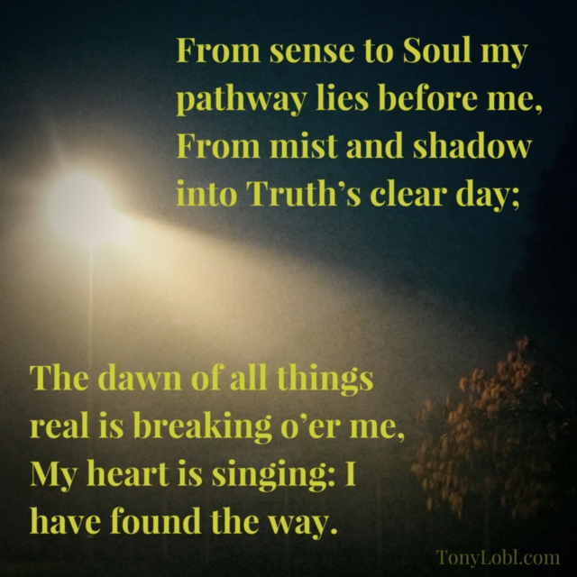 From mist and shadow" by Tony Lobl