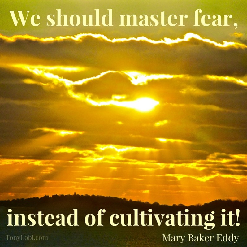 %22We should master fear%22 by Tony Lobl