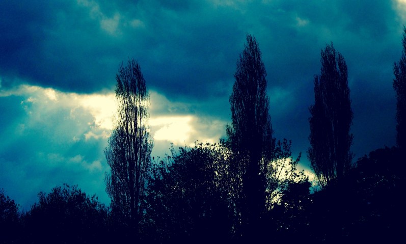 "Shafts of healing" by Tony Lobl